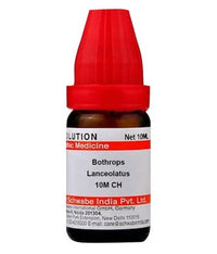 https://cdn.shopify.com/s/files/1/1857/6931/products/3oGaSCaMeu.jpg?v=1640865747