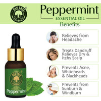 https://cdn.shopify.com/s/files/1/1857/6931/products/3pRaEk1Yqx.jpg?v=1682769444