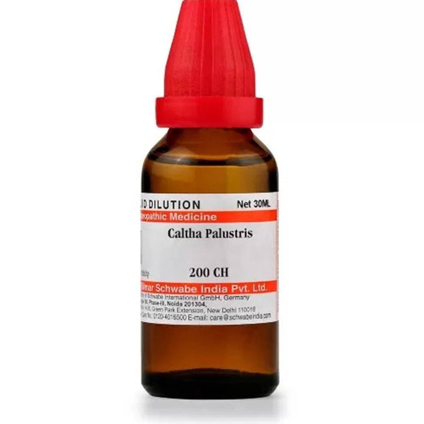 https://cdn.shopify.com/s/files/1/1857/6931/products/3rwvZqa39A.jpg?v=1613912051