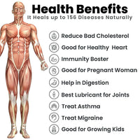 https://cdn.shopify.com/s/files/1/1857/6931/products/3sWOPNtJGd.jpg?v=1642503565