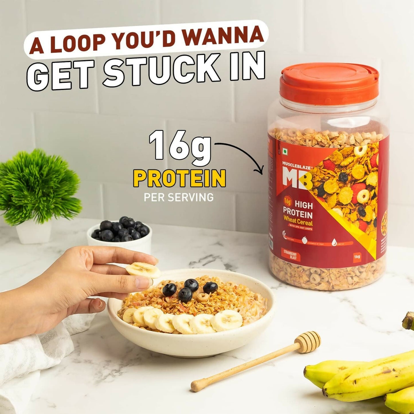 https://cdn.shopify.com/s/files/1/1857/6931/files/3yBgaIoEui.jpg?v=1711175202