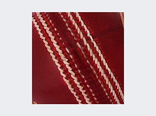 Image 4 of SG League Leather Cricket Ball Red