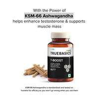 https://cdn.shopify.com/s/files/1/1857/6931/products/40GuLWHbN1.jpg?v=1740052105
