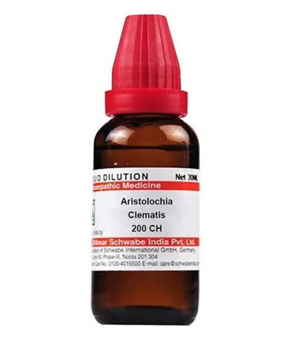 https://cdn.shopify.com/s/files/1/1857/6931/products/40Gvbbylgu.jpg?v=1640930208