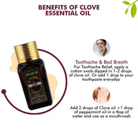 https://cdn.shopify.com/s/files/1/1857/6931/products/40f3VQ0lJl.jpg?v=1637996750