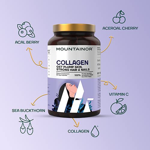 https://cdn.shopify.com/s/files/1/1857/6931/files/412ImU5lBWL.jpg?v=1690540700