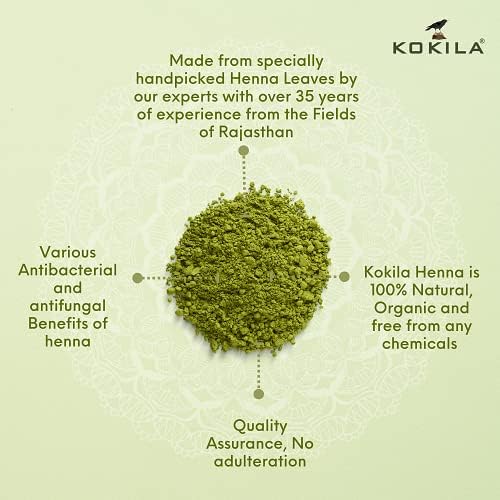 https://cdn.shopify.com/s/files/1/1857/6931/files/415rDWkOjbL.jpg?v=1766050283