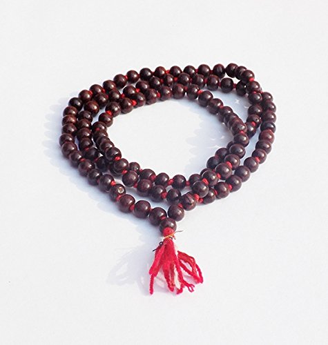 https://cdn.shopify.com/s/files/1/1857/6931/products/41B_Y17DHtL_jpg.jpg?v=1637842704