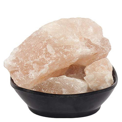 https://cdn.shopify.com/s/files/1/1857/6931/files/41Hde5LnfWL.jpg?v=1762928153