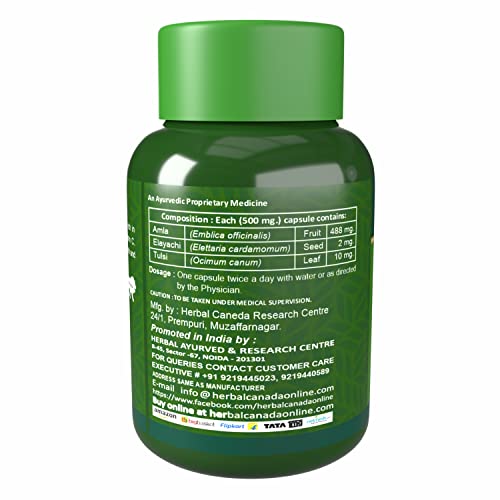 https://cdn.shopify.com/s/files/1/1857/6931/files/41IWAPOqDlL.jpg?v=1769774392