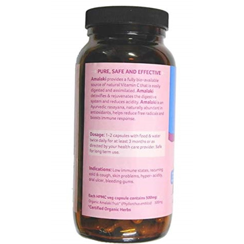 https://cdn.shopify.com/s/files/1/1857/6931/products/41JrgP907PL.jpg?v=1754653458