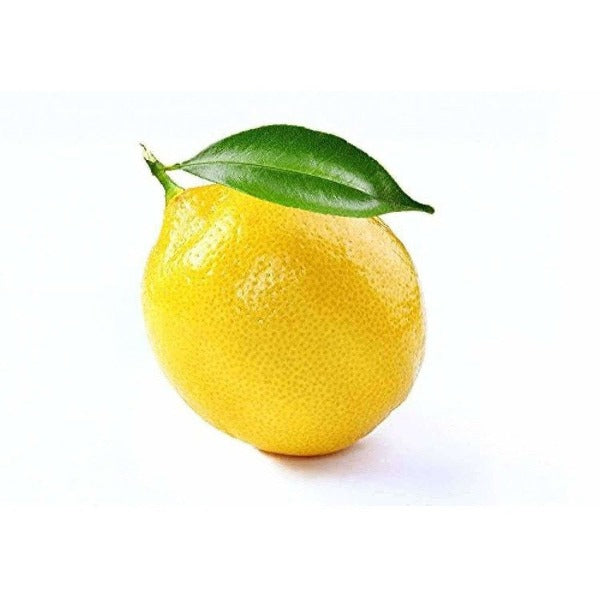 https://cdn.shopify.com/s/files/1/1857/6931/products/41Ren65elyL._UL1500.jpg?v=1625298804