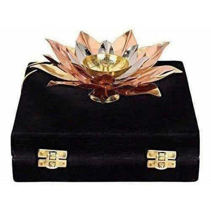 https://cdn.shopify.com/s/files/1/1857/6931/products/41ZE1I66QoL.jpg?v=1620003414