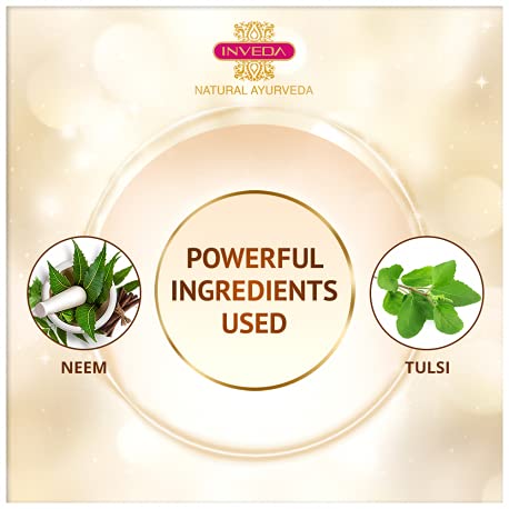 https://cdn.shopify.com/s/files/1/1857/6931/products/41ZXpxuTPBL_jpg.jpg?v=1637321115