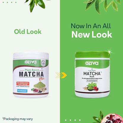 https://cdn.shopify.com/s/files/1/1857/6931/products/41_e5d_AxJS.jpg?v=1622551976