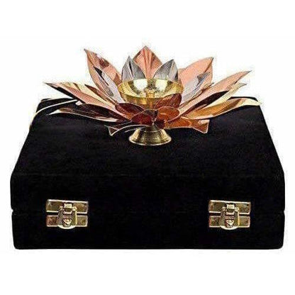 https://cdn.shopify.com/s/files/1/1857/6931/products/41j6SoNd29L.jpg?v=1620003415