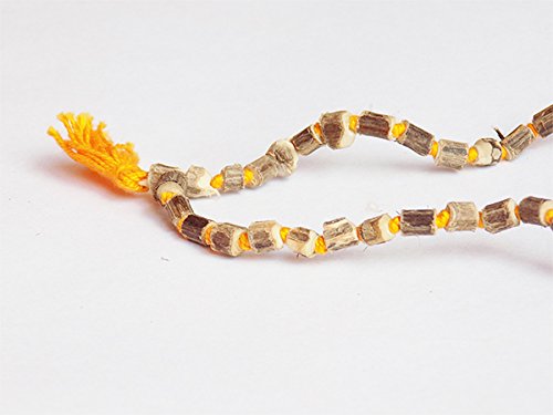 https://cdn.shopify.com/s/files/1/1857/6931/products/41nlnSEFRfL_jpg.jpg?v=1637843103