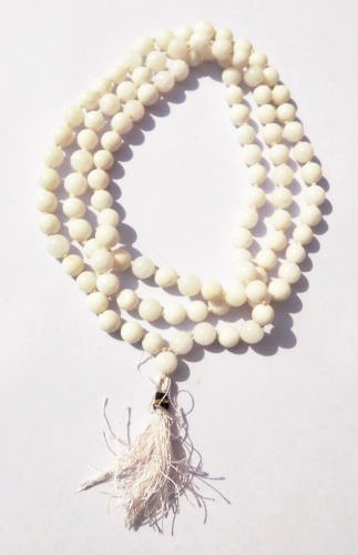 https://cdn.shopify.com/s/files/1/1857/6931/products/41oMusjUDVL_jpg.jpg?v=1759295654