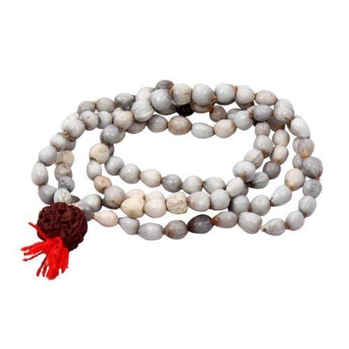 https://cdn.shopify.com/s/files/1/1857/6931/products/41sgC9gYN4L_jpg.jpg?v=1762299881