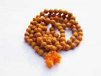 https://cdn.shopify.com/s/files/1/1857/6931/products/41wbCUDoYeL_jpg.jpg?v=1637842192