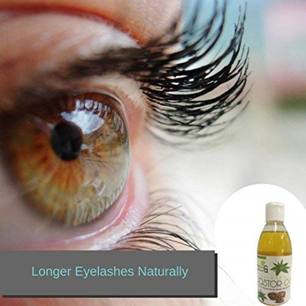 https://cdn.shopify.com/s/files/1/1857/6931/products/41wq3u3zjpL.jpg?v=1640256847