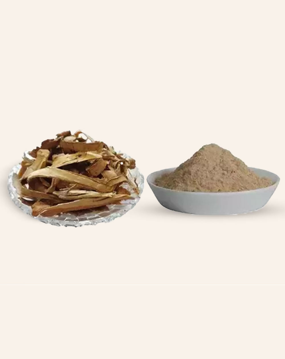 https://cdn.shopify.com/s/files/1/1857/6931/files/41yqUHSFJZ.jpg?v=1761812633