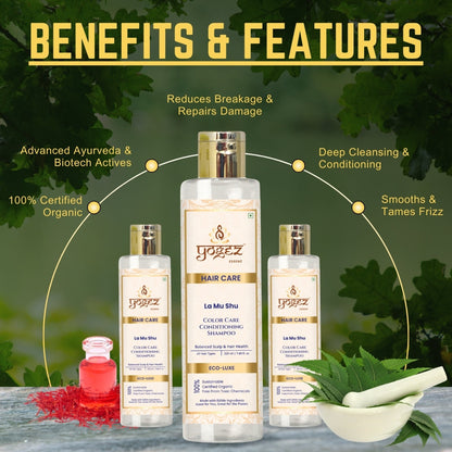https://cdn.shopify.com/s/files/1/1857/6931/files/42.jpg?v=1745241758