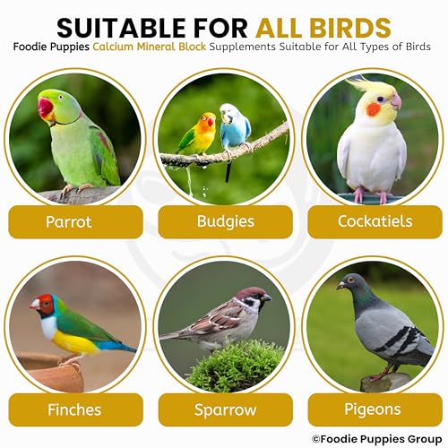 Image 7 of Foodie Puppies Natural Mineral Block for Birds – 5 Pieces (250g)