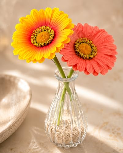 Image 1 of Default Title for the product Divyakosh Artificial Flower Vase | Glass Vase (1) with Gerbera Flowers (2) | Home Decoration Items for Living Room | Aesthetic Home Decor, Vase for Home deﾌ…or'