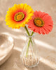 Image 1 of Default Title for the product Divyakosh Artificial Flower Vase | Glass Vase (1) with Gerbera Flowers (2) | Home Decoration Items for Living Room | Aesthetic Home Decor, Vase for Home deﾌ…or'