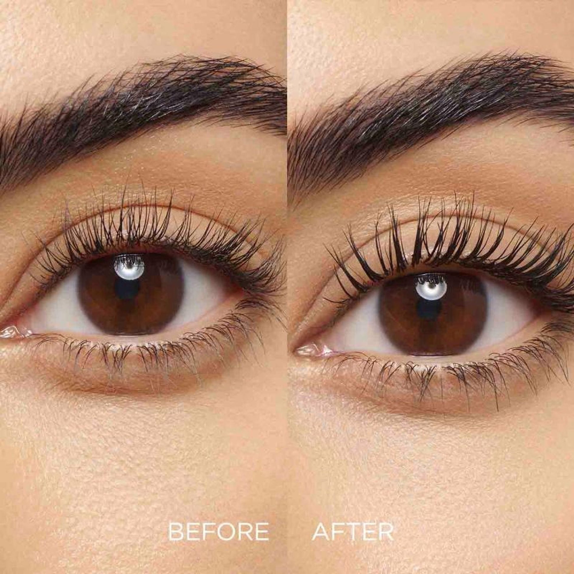 https://cdn.shopify.com/s/files/1/1857/6931/files/45a6cacCLARI00000087s_4_dd4d6ce0-61ff-47b5-be06-aeb960ff78c4.jpg?v=1769845405