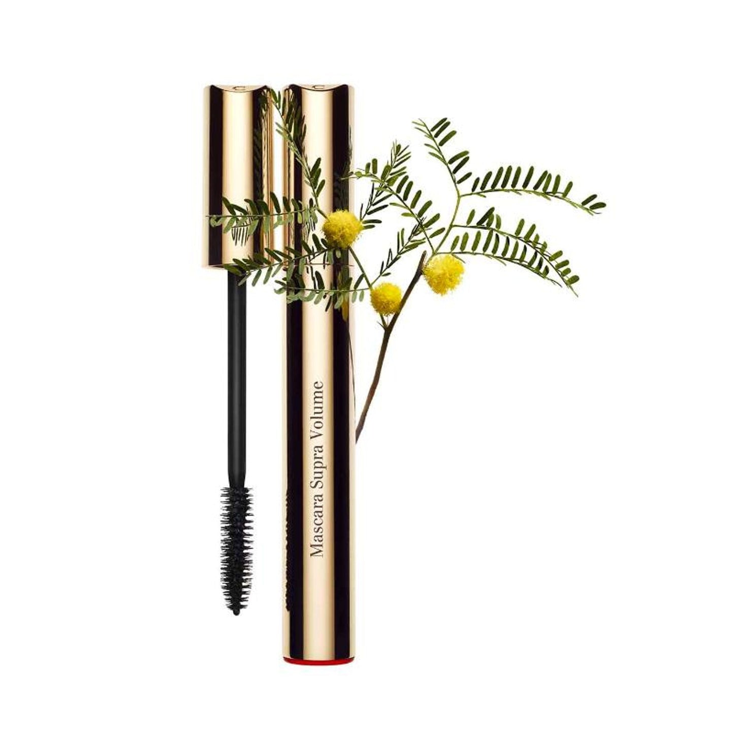 https://cdn.shopify.com/s/files/1/1857/6931/files/45a6cacCLARI00000107s_1.jpg?v=1771498609