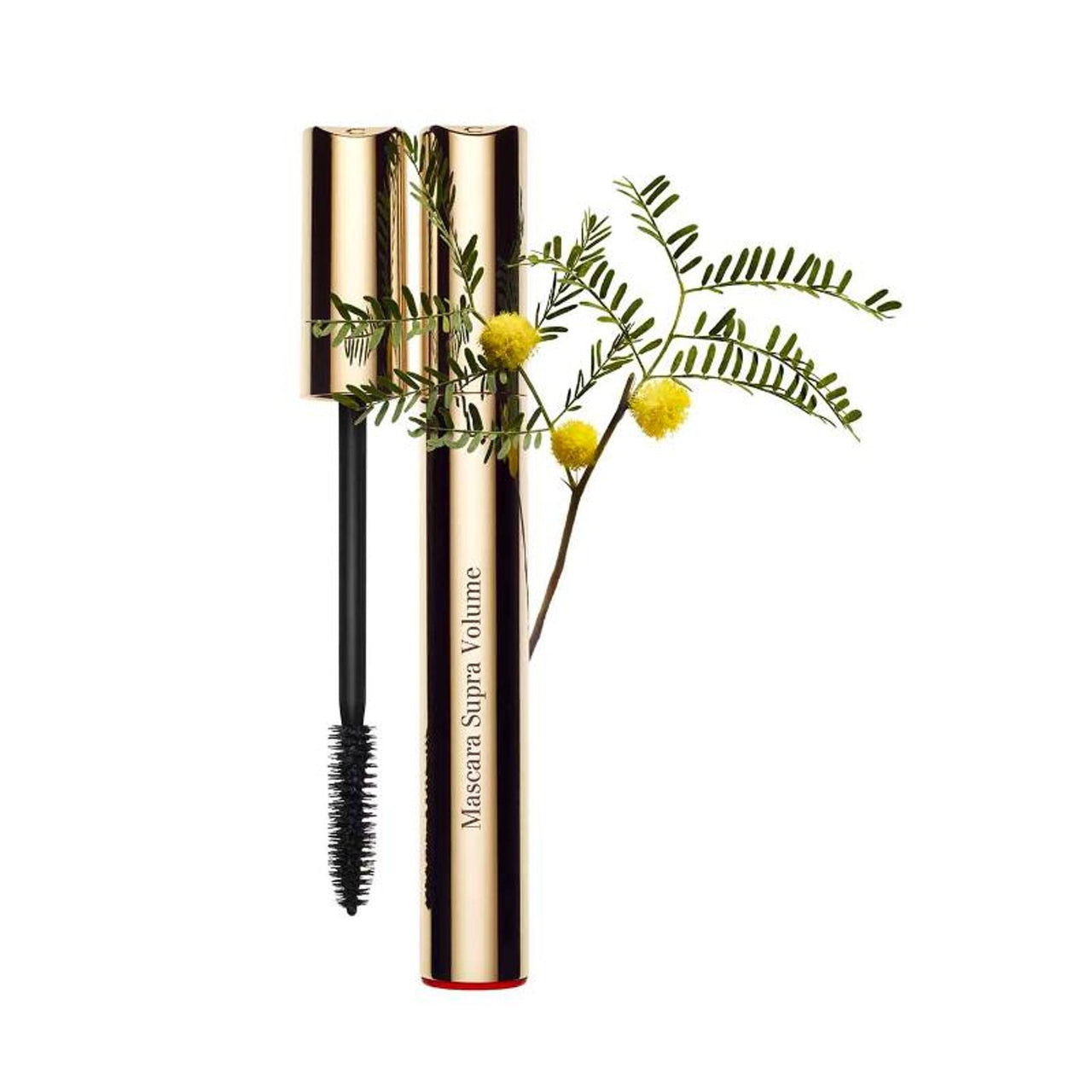 https://cdn.shopify.com/s/files/1/1857/6931/files/45a6cacCLARI00000107s_1.jpg?v=1771498609
