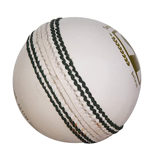 Image 3 of SG Cricket Balls Club White