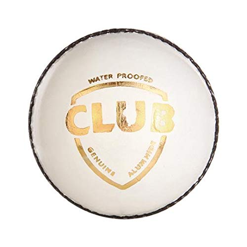 Image 1 of Leather ball for the product SG Club Leather Ball, Four Pitch (White) Standard Size