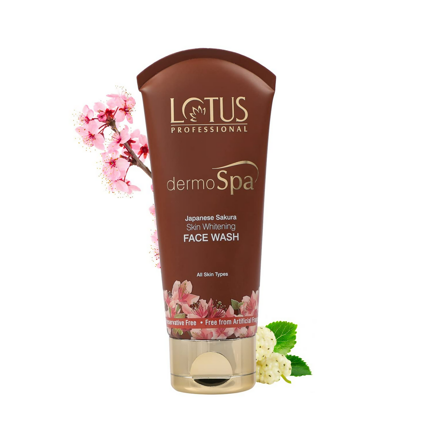 https://cdn.shopify.com/s/files/1/1857/6931/files/46svVvA9Oi.png?v=1720516724