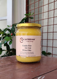 https://cdn.shopify.com/s/files/1/1857/6931/files/47d3ec_5aa7531d10c9412a9053cf49b.jpg?v=1751008441