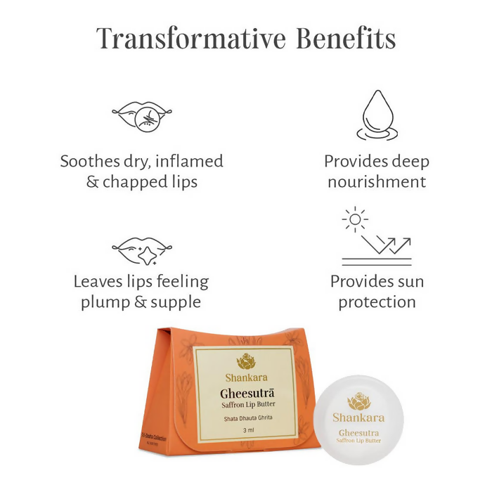 https://cdn.shopify.com/s/files/1/1857/6931/files/48LplBCsXY.png?v=1724333098