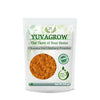 Image 1 of 250 gm for the product Yuvagrow Channa Dal Chutney Powder
