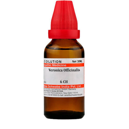 https://cdn.shopify.com/s/files/1/1857/6931/products/49At82S5Yh.jpg?v=1640858273