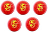 Image 1 of Default Title for the product SG Everlast Synthetic Cricket Leather Ball - Pack of 5