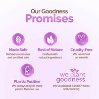 https://cdn.shopify.com/s/files/1/1857/6931/files/4B8Ndt1XzT.jpg?v=1726642079