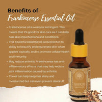https://cdn.shopify.com/s/files/1/1857/6931/products/4BeBbsVfc0.jpg?v=1663757202