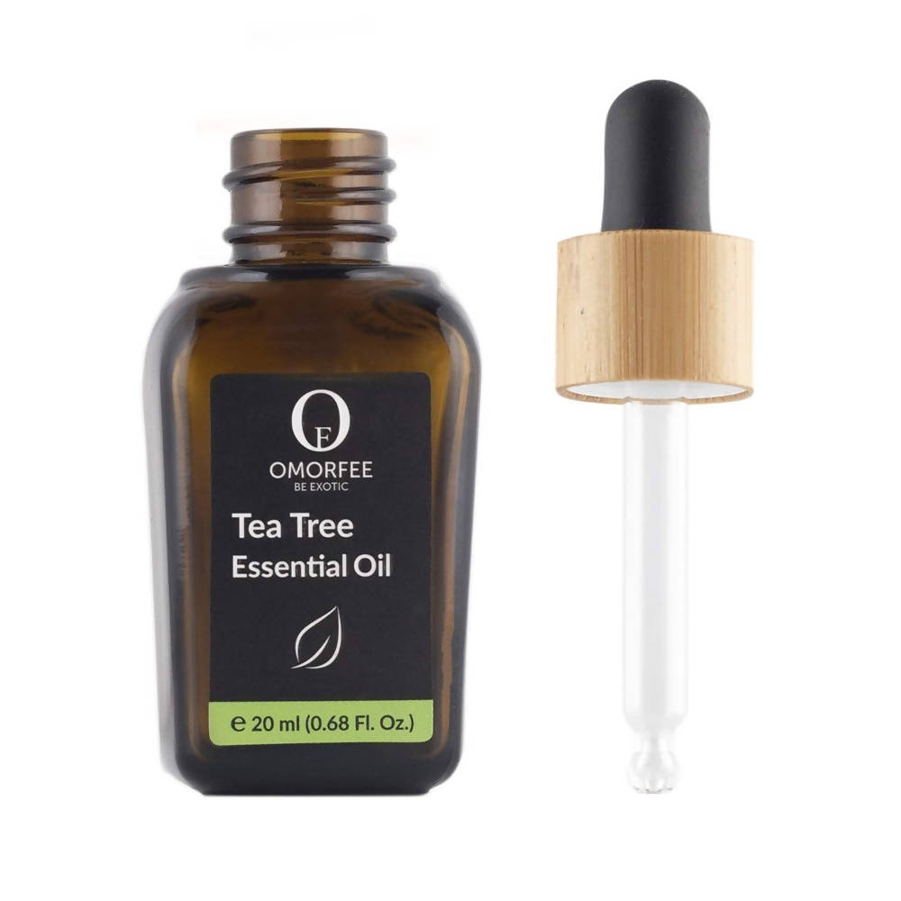 https://cdn.shopify.com/s/files/1/1857/6931/products/4DaYHcffer.jpg?v=1640949750