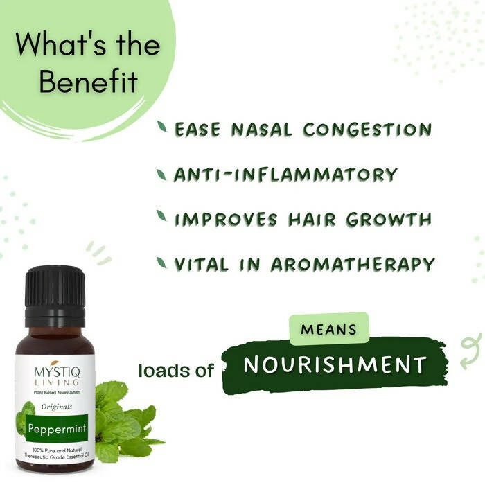 https://cdn.shopify.com/s/files/1/1857/6931/products/4NKWyzy1mp.jpg?v=1664429854