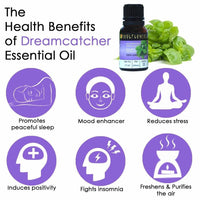 https://cdn.shopify.com/s/files/1/1857/6931/products/4QWn3Xgnt6.jpg?v=1614911250