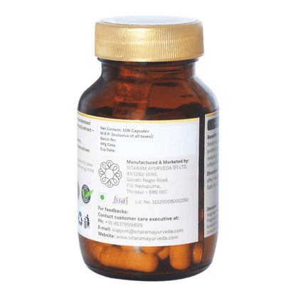 https://cdn.shopify.com/s/files/1/1857/6931/products/4TSz2EajzG.jpg?v=1640777465