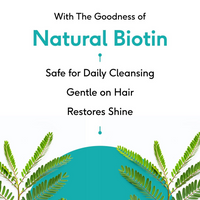 https://cdn.shopify.com/s/files/1/1857/6931/products/4WBMuUFTFL.png?v=1696683056