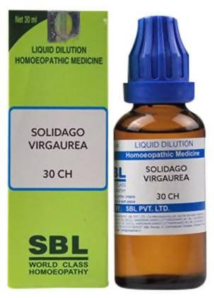 https://cdn.shopify.com/s/files/1/1857/6931/products/4YdIvGe1CJ.jpg?v=1635168119