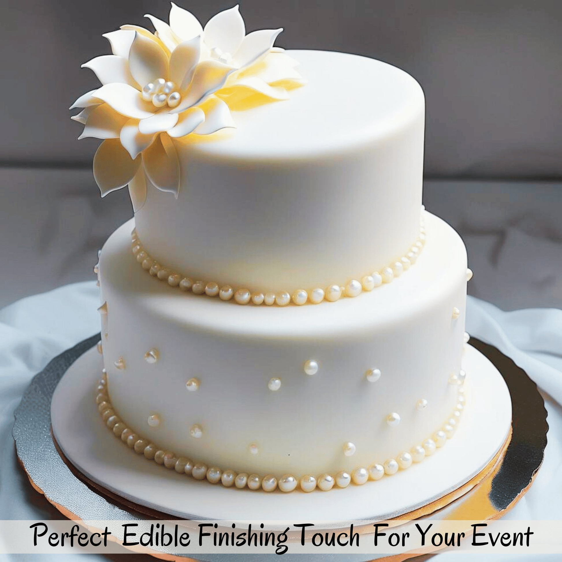 https://cdn.shopify.com/s/files/1/1857/6931/files/4_8a36989d-24da-446c-acfc-0b5e91f478d5.png?v=1769704734